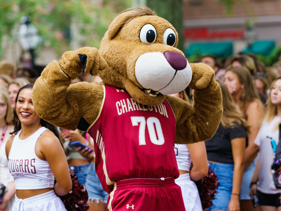 Cougar mascot in a maroon “Charleston 70” jersey flexing its arms in front of a cheering crowd.
