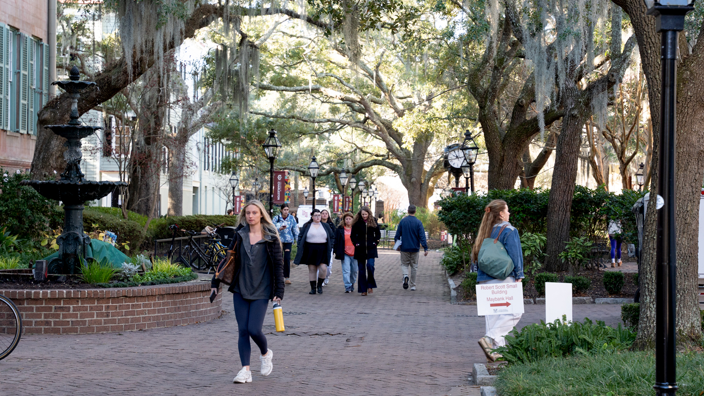 Students walking through an oak tree-lined courtyard underneath a canopy of Spanish moss on the College of Charleston campus