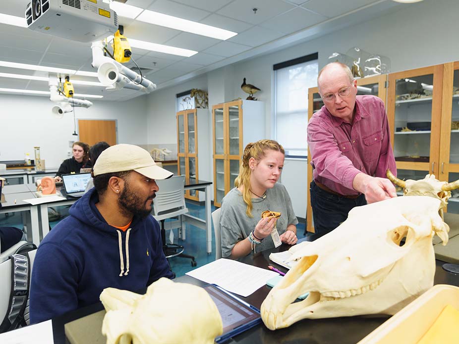 College of Charleston professor with students and fossils in a lab. 