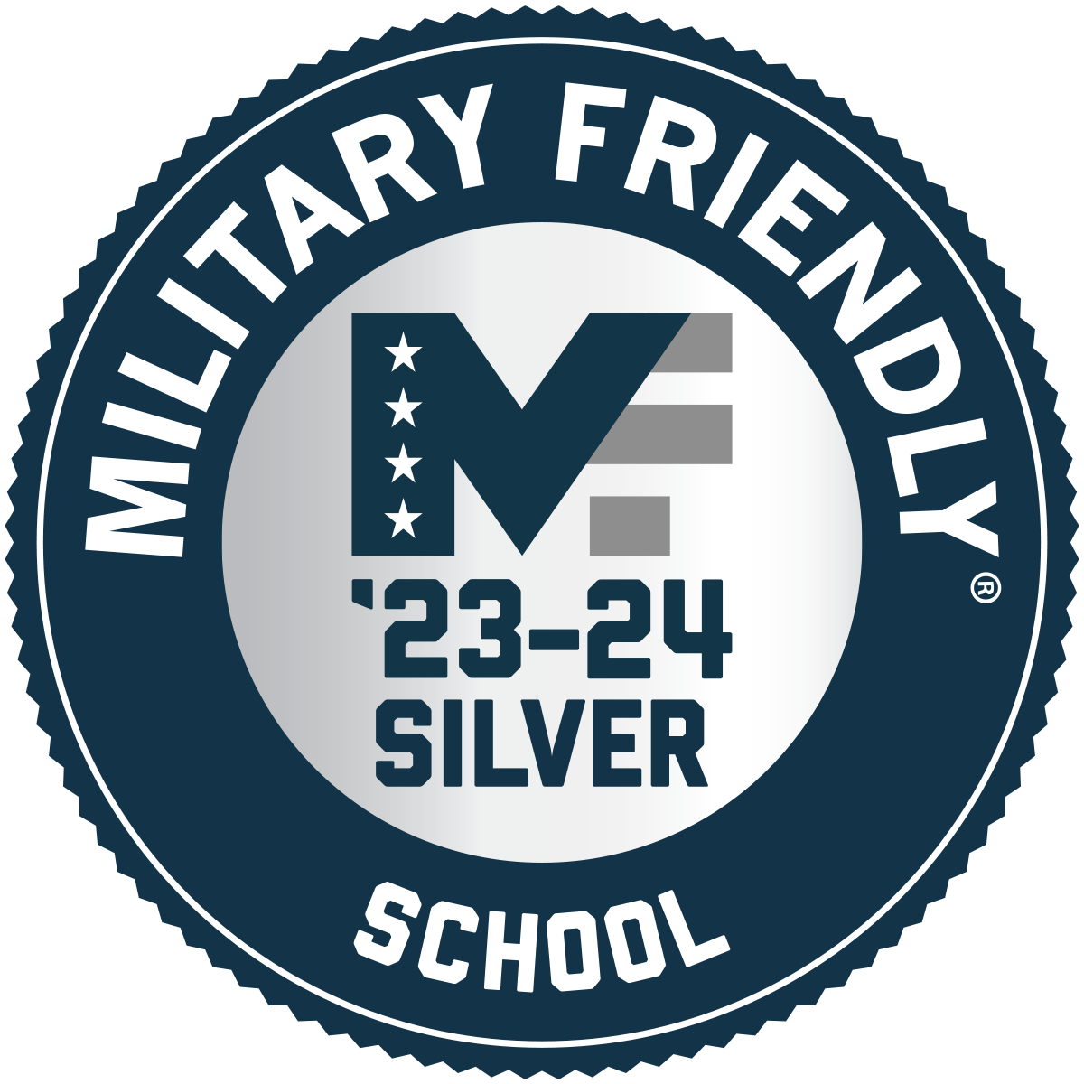 mfs2324_silver.png