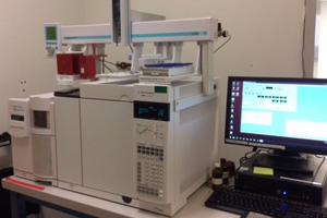 Gas Chromatography and Mass Detector (GC-MC) in the Department of Chemistry and Biochemistry