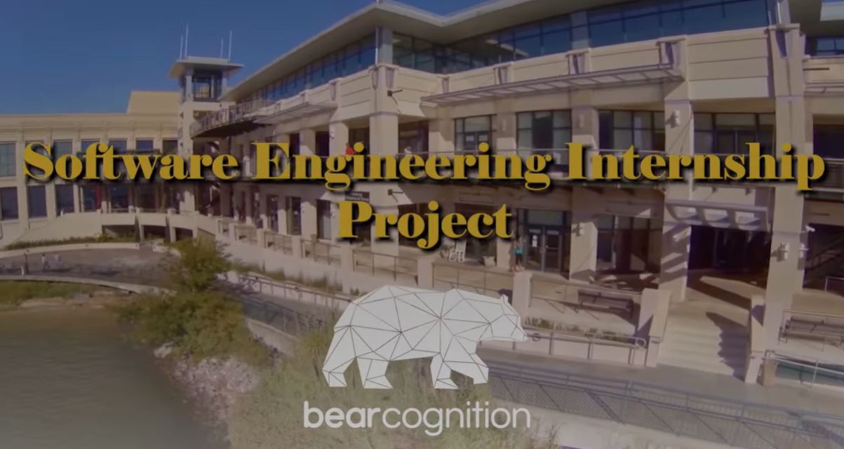 2023-bearcognition