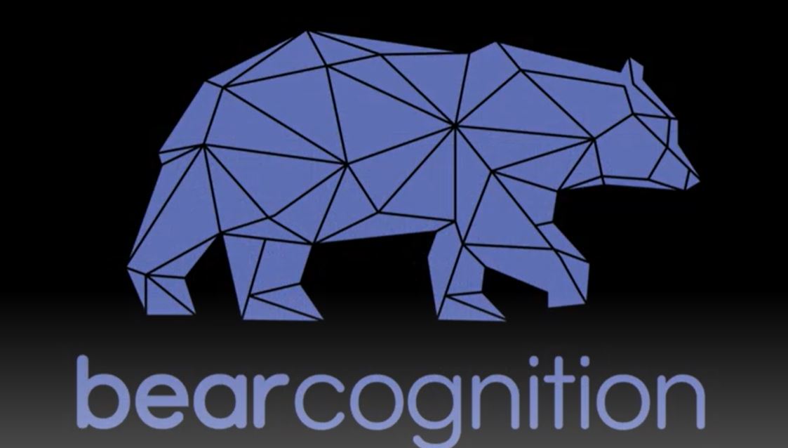 bear cognition