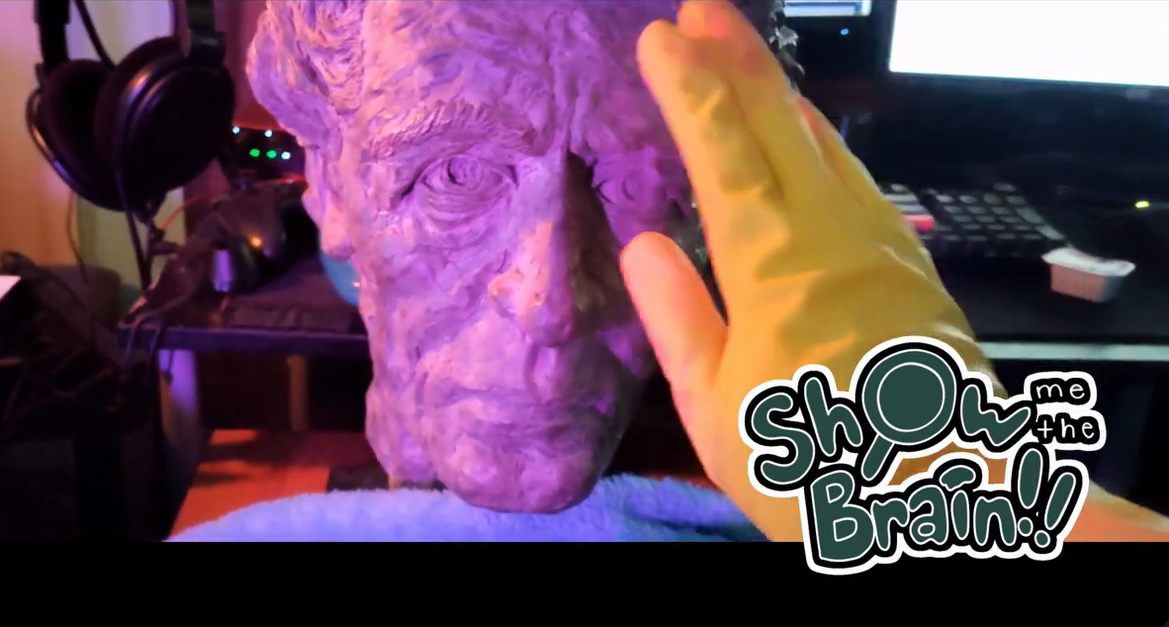 Show me the brain project still