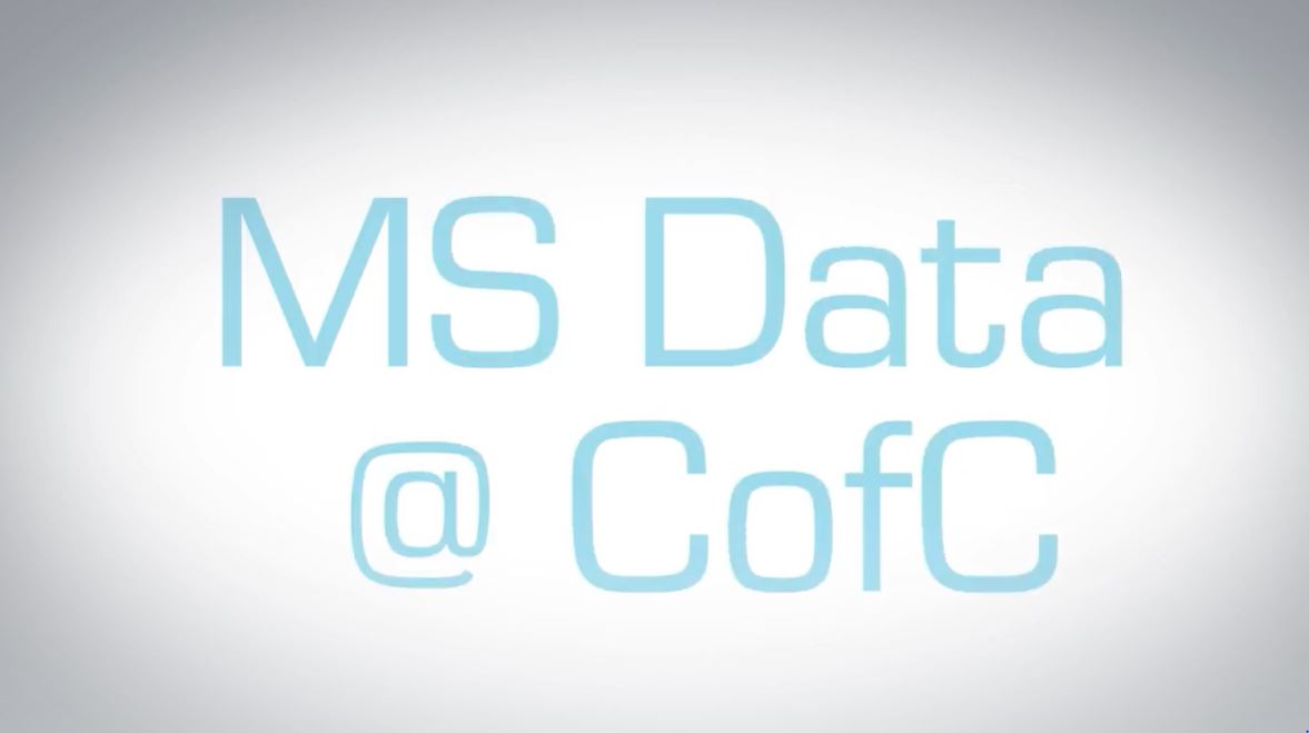 ms data video