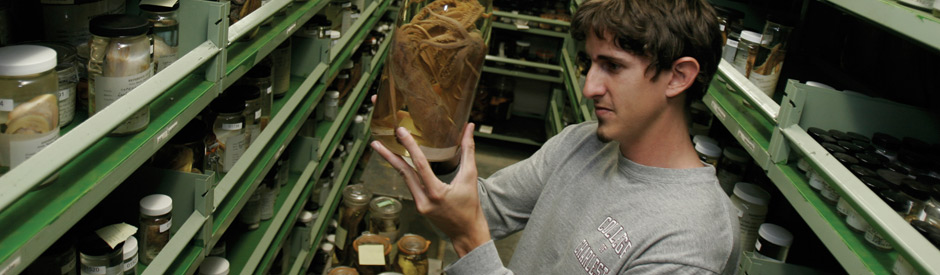 Specimen collection
