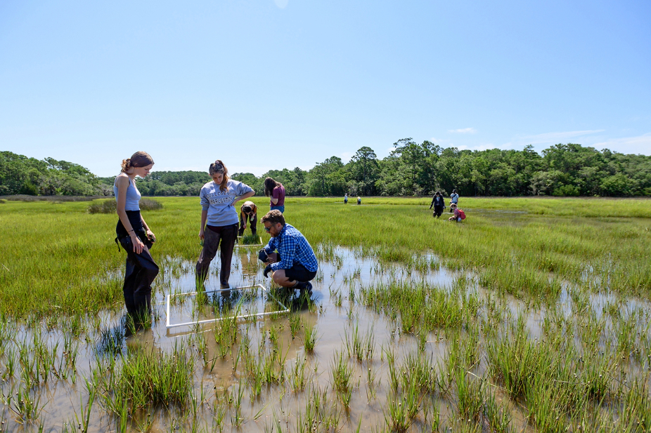 Students conduct biodiversity fieldwork in the marshes of Stono Preserve