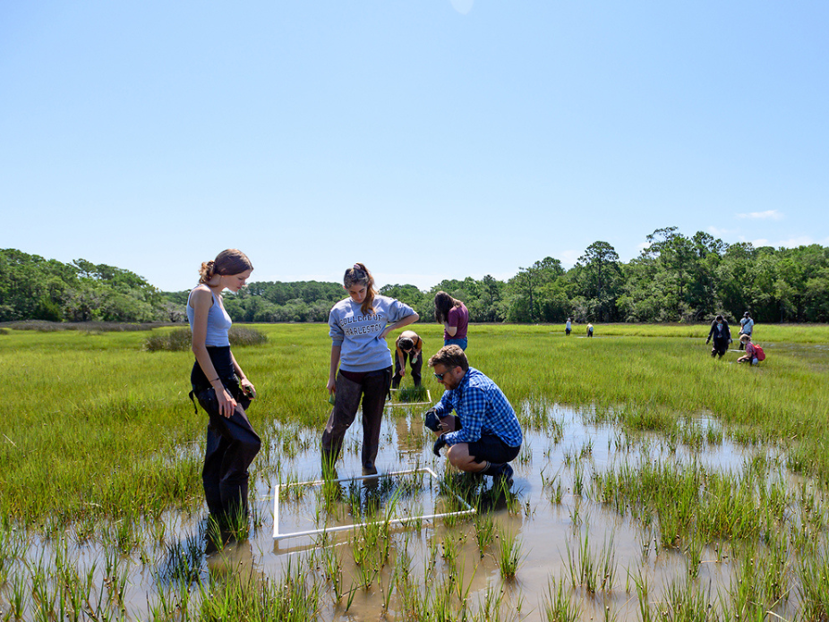  A small group of people conduct fieldwork in a shallow, grassy wetland using measuring frames and tools. Additional participants are visible across the open landscape under a clear blue sky.