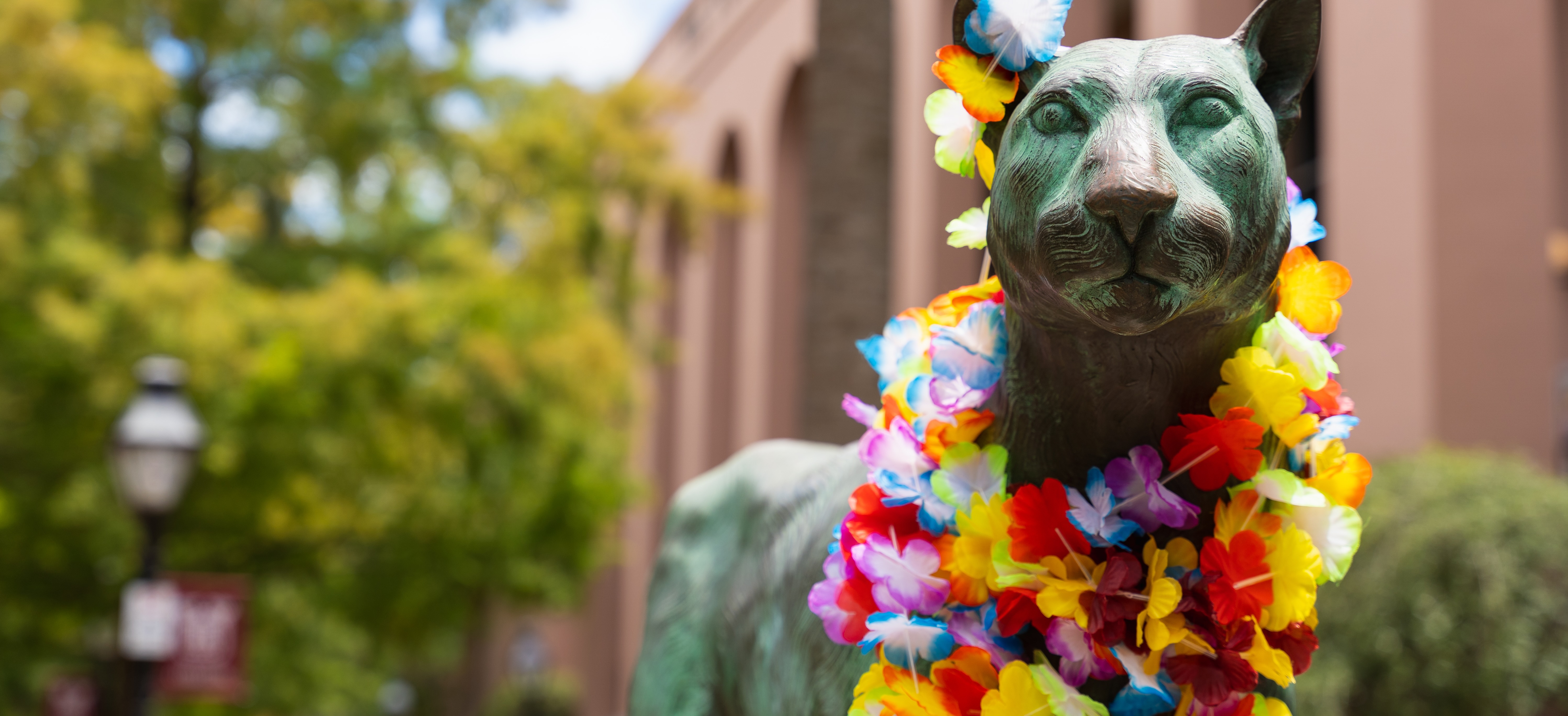 cougar statue with a hawaiian lei around it's next