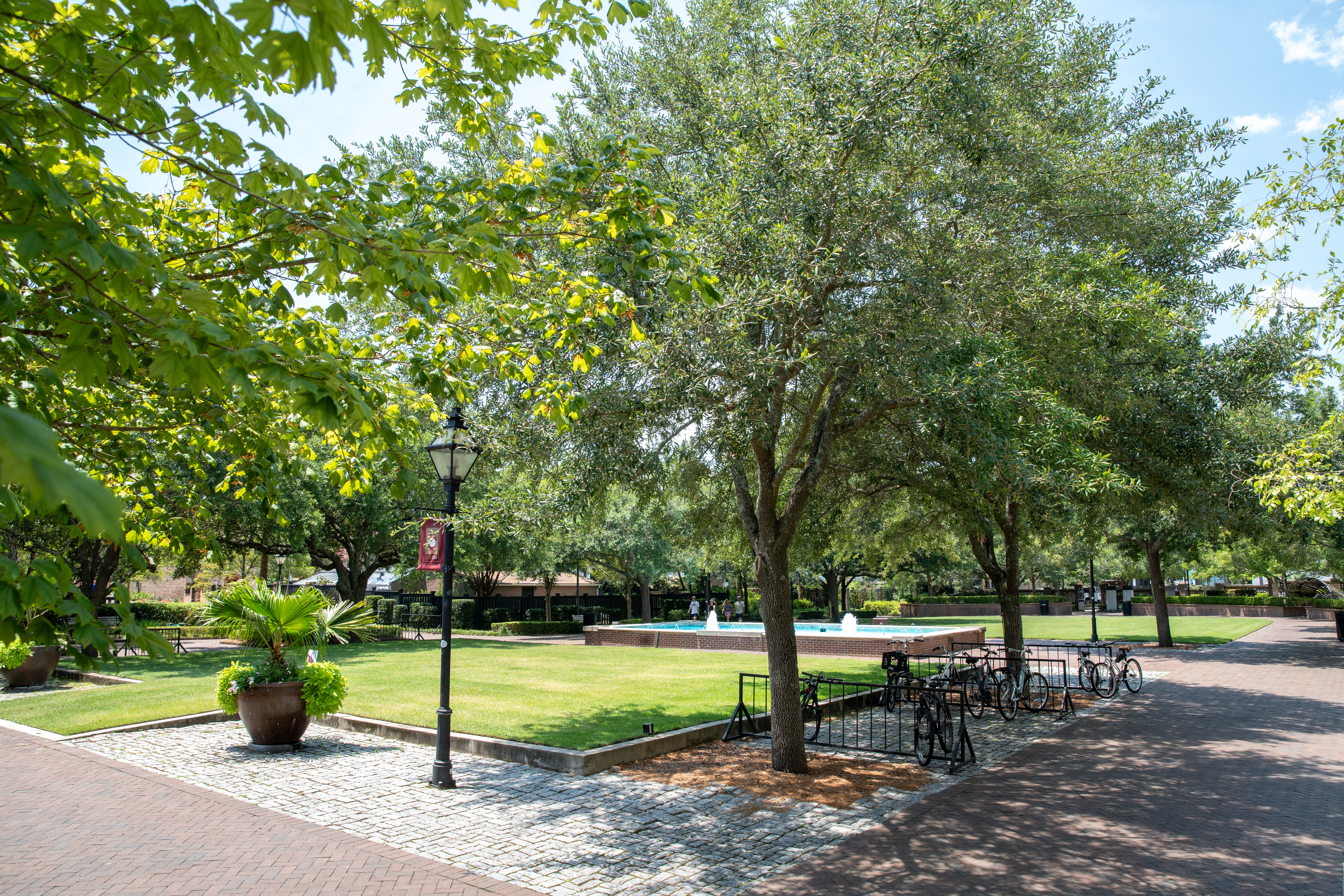 Shows wide open green space, Rivers Green