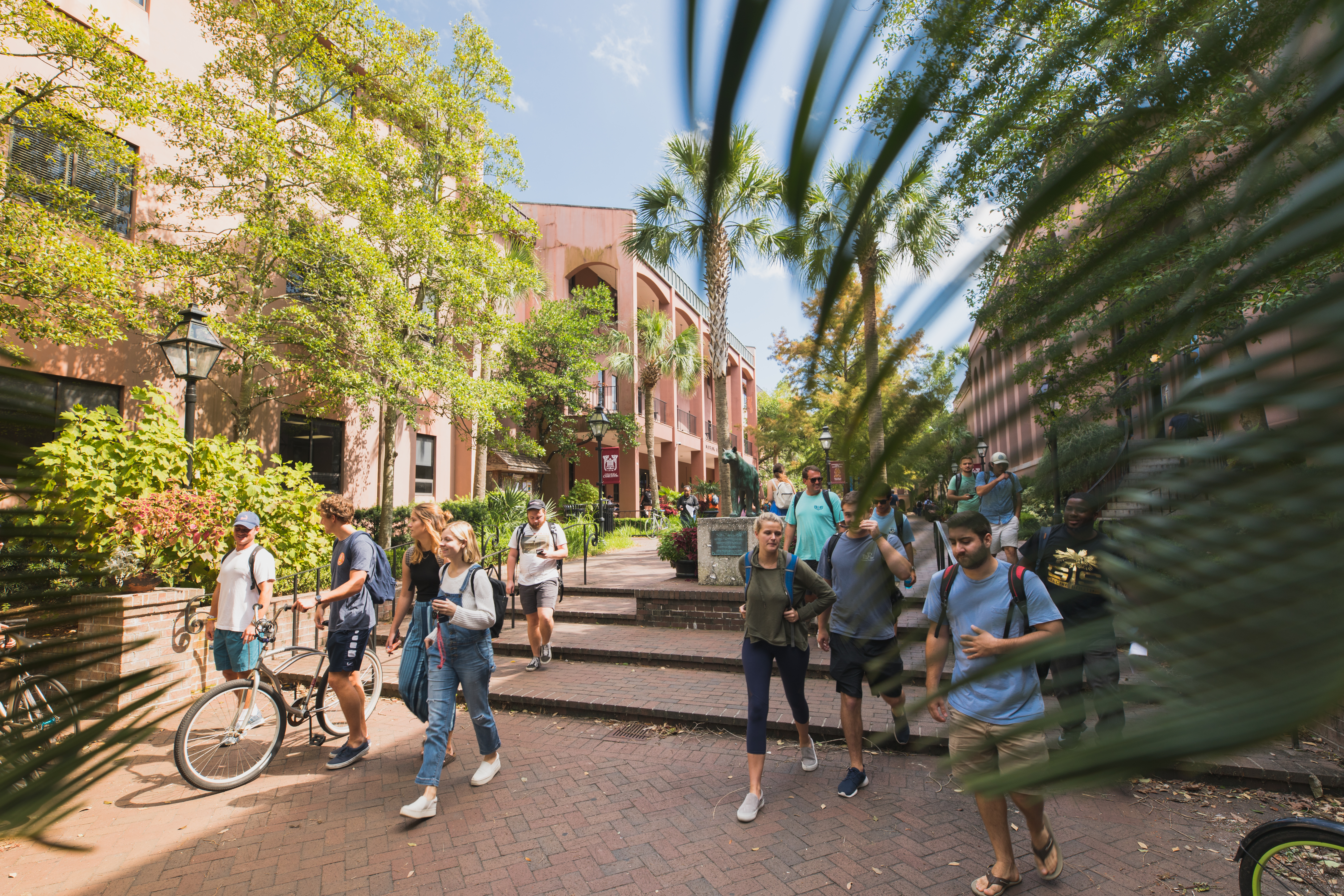 students in Cougar Mall on College of Charleston campus