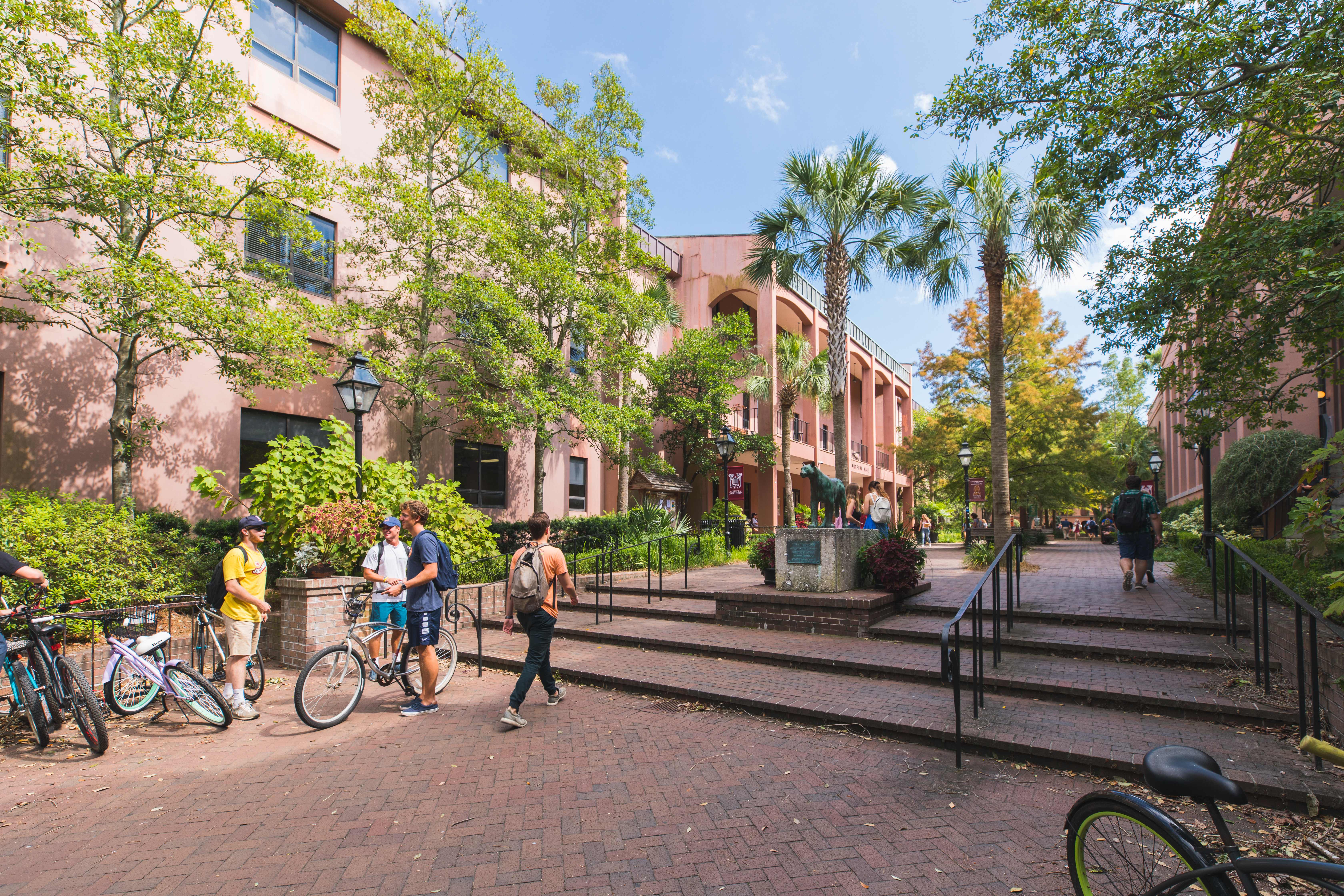 students in Cougar Mall on College of Charleston campus