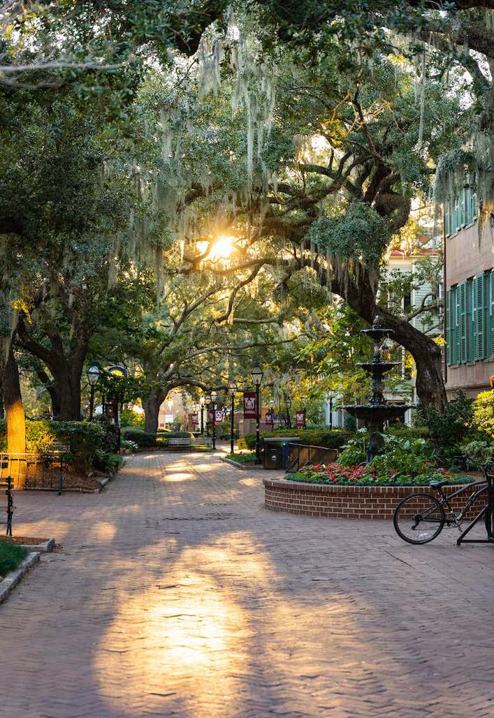 Photo of campus walkway