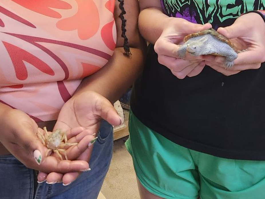 Two people holding animals, a turtle and a crab.