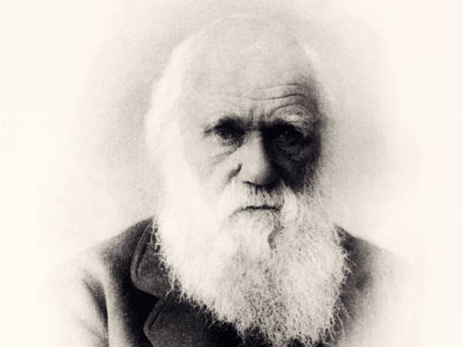 Headshot of Charles Darwin