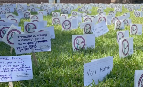 An image of You Matter cards on the green lawn of River's Green.  Each card has  a removable sticker with "you matter" and the 988 Suicide prevention line.  
