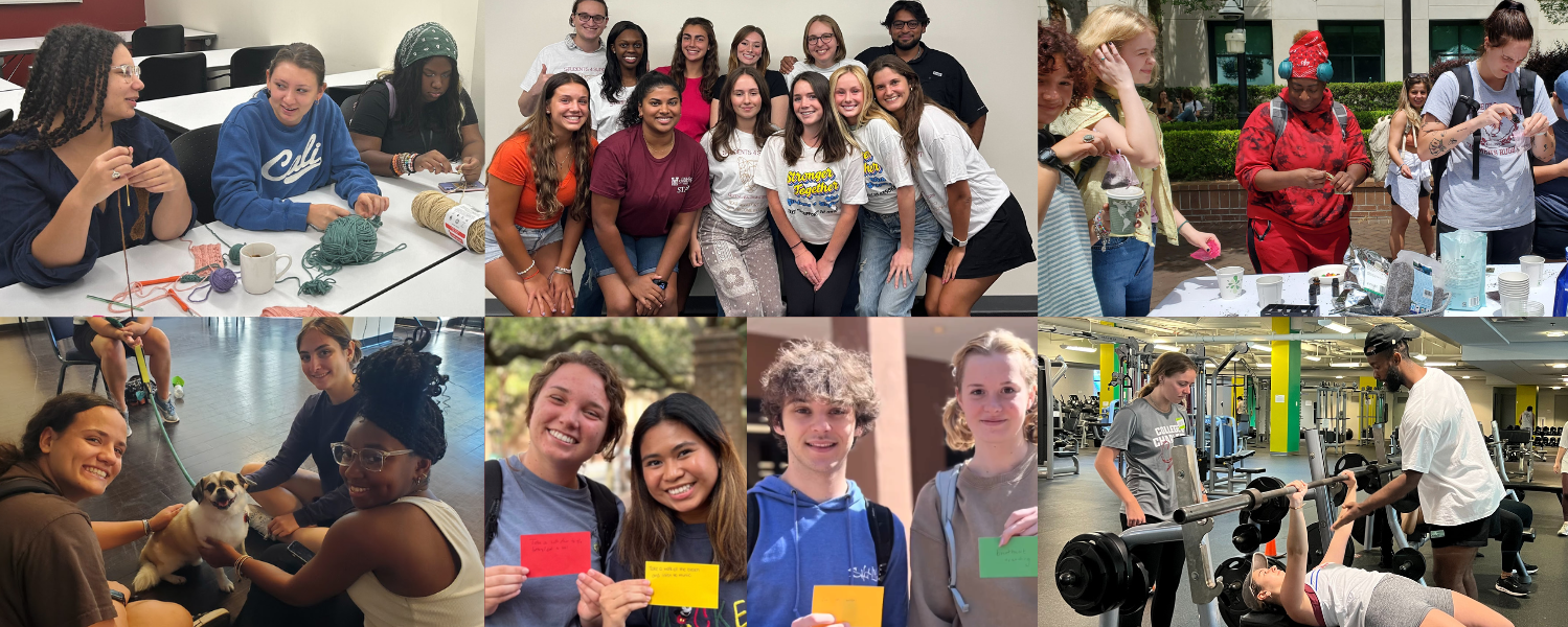 7 images of diverse students attending different events like dog therapy, stress relief fair, and more