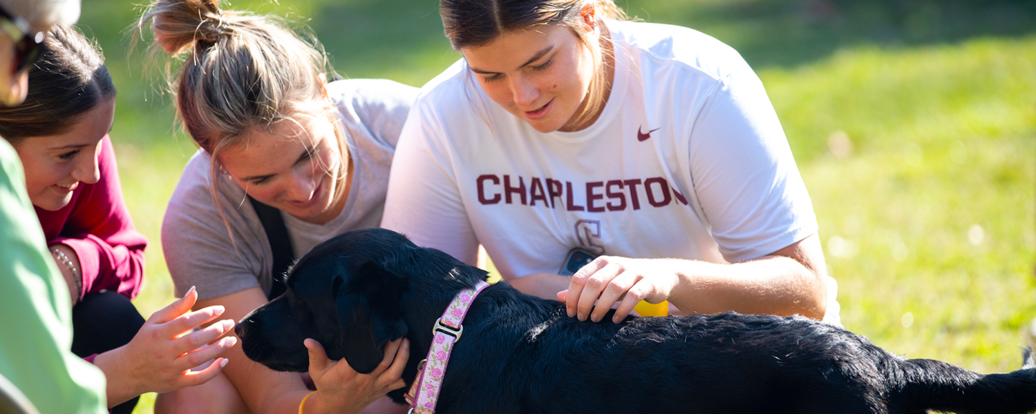 College of Charleston students pet a therapy dog during a campus wellness event